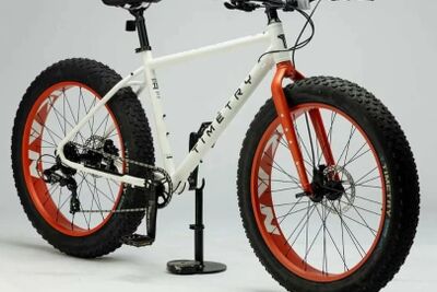 Фэтбайк TIME TRY TT222/8S